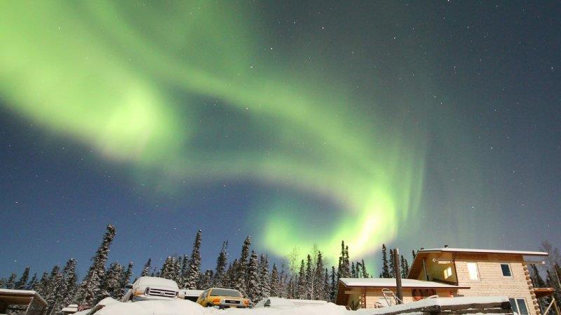 雪に覆われた森の上空に広がるオーロラ(アラスカ)
