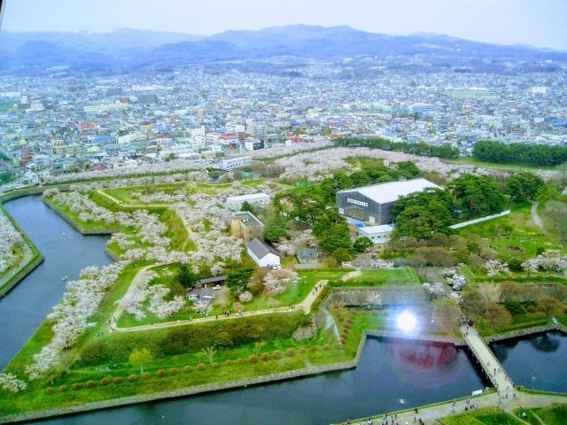 桜に囲まれた五稜郭を見下ろす風景（函館）