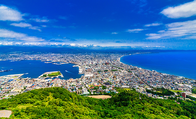 函館山から望む市街地と海岸線（函館）