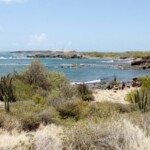 マルティニーク島（フランス領）の風景 1