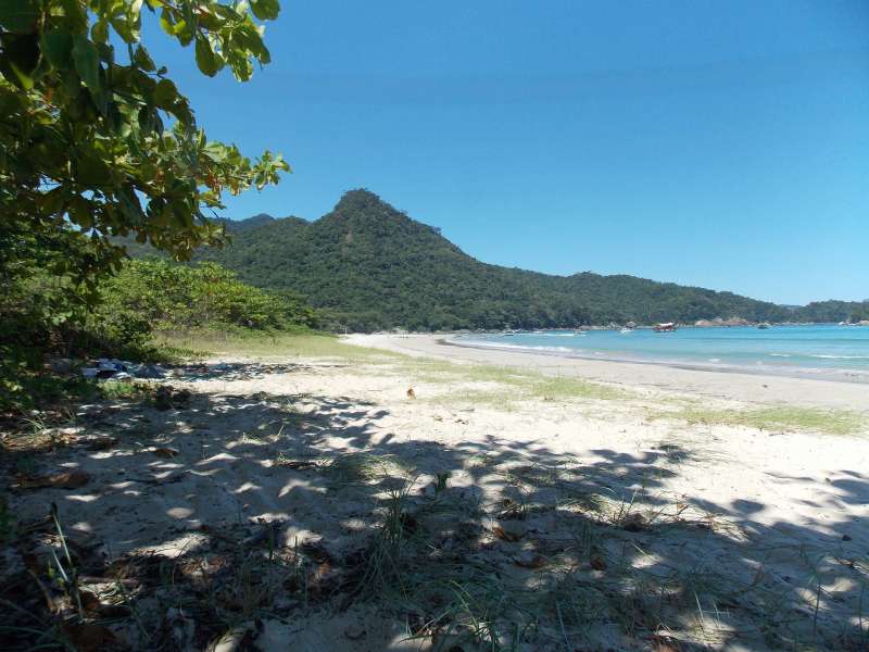 ポワンタピートル／グアドループ（グランテール島）の風景 2