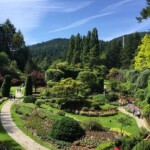 ビクトリアの風景 2
